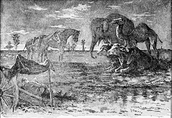 "'ANYBODY CAN BE FORGIVEN FOR BEING SCARED IN THE NIGHT,'
SAID THE TROOP-HORSE."