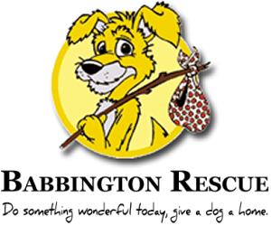Click here to show your support for Babbington Rescue