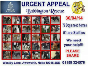 Click here to show your support for Babbington Rescue